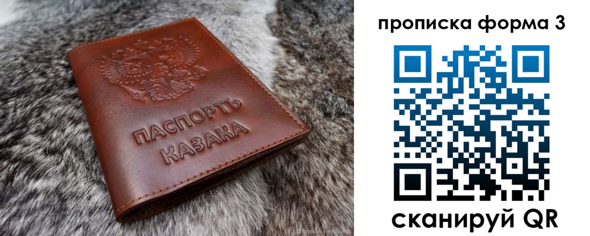 временная прописка в Мурино